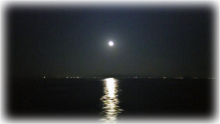 DSC_0566.png
