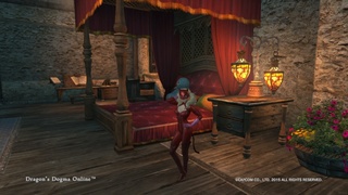 Dragon'sDogmaOnline_1476586349.jpg
