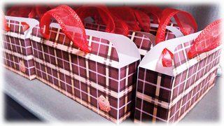 bag_box_2h.png
