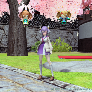 pso20200409_001.png