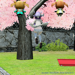 pso20200409_003.png